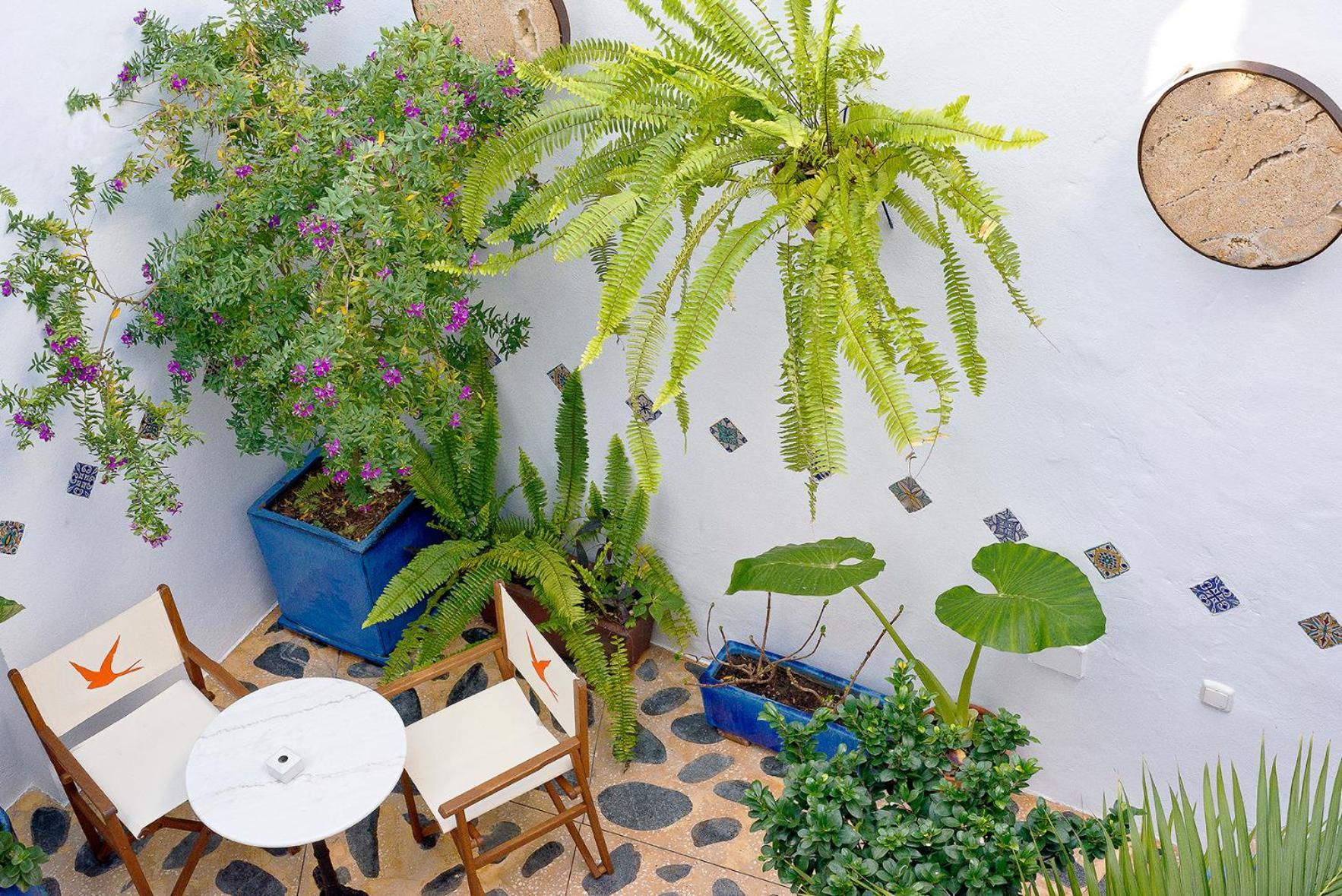 Hostal Casa Alborada Conil De La Frontera Dış mekan fotoğraf