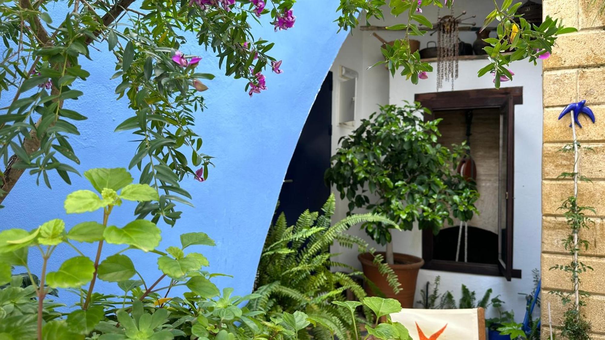 Hostal Casa Alborada Conil De La Frontera Dış mekan fotoğraf